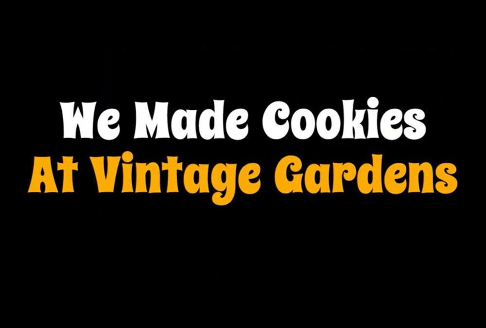 We Made Cookies at Vintage Gardens!