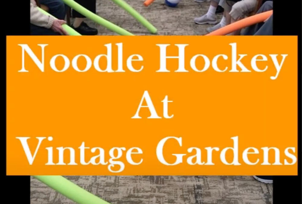 Noodle Hockey at Vintage Gardens.