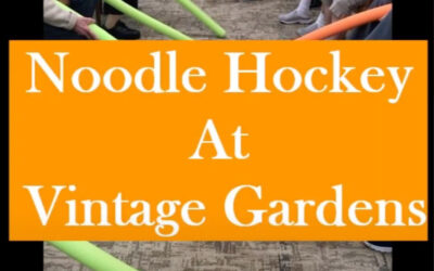 Noodle Hockey at Vintage Gardens