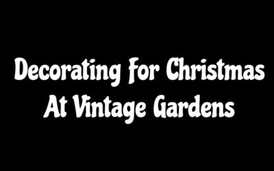 Decorating for Christmas at Vintage Gardens