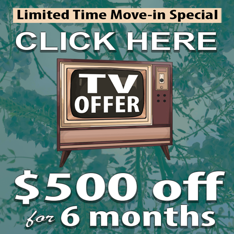 limited time move-in special , tv offer , $500 off for 6 months
